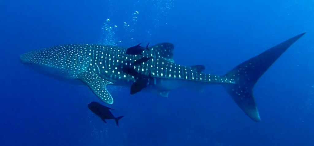 30c79360-a145-4c57-97c7-baf226087cd3