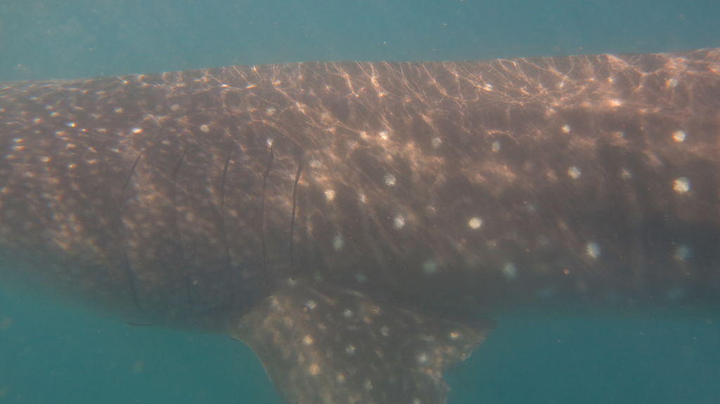 7d1d3e51-74ed-44f1-87ce-d395320c60bb