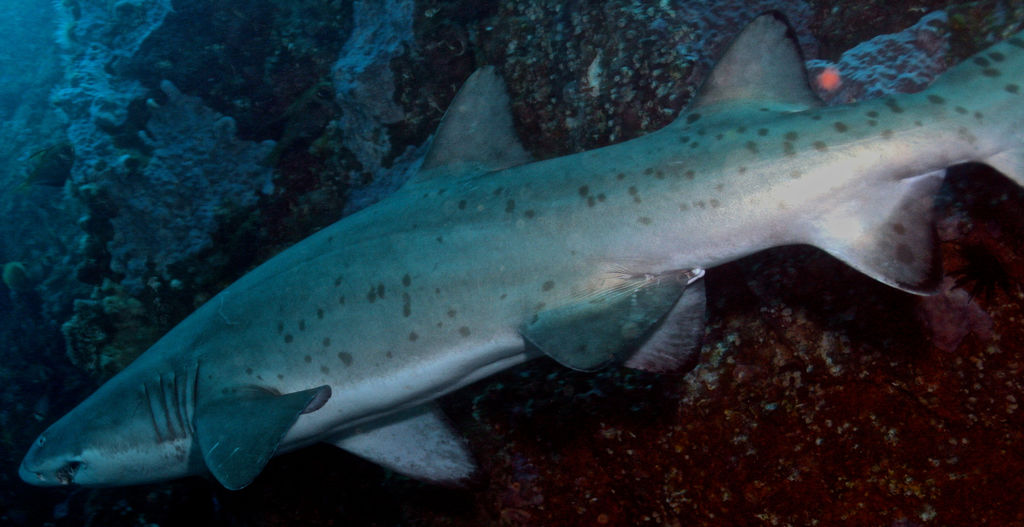 baa46882-f154-4f21-8cfa-4cff52fdee7e