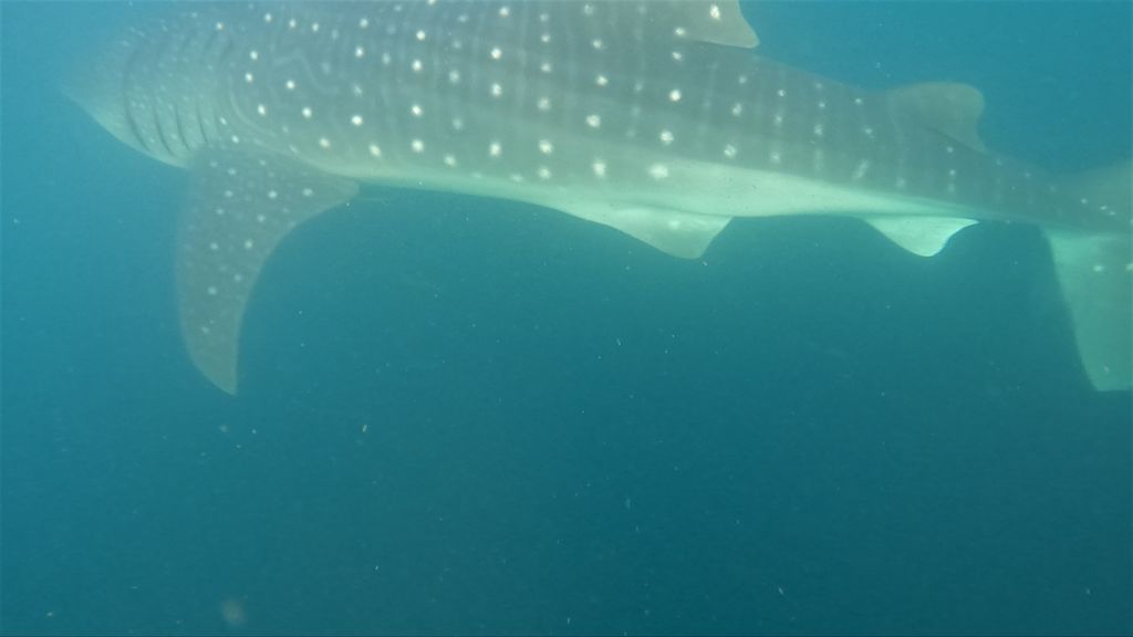 a86f2c13-b6d9-42f6-9797-abadc4dc4a8d