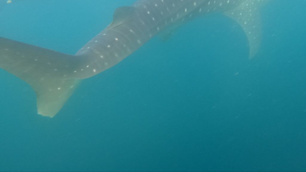 a86f2c13-b6d9-42f6-9797-abadc4dc4a8d