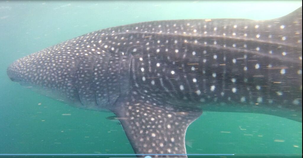 501a66de-03e2-410f-9da4-87c7fc814ab5