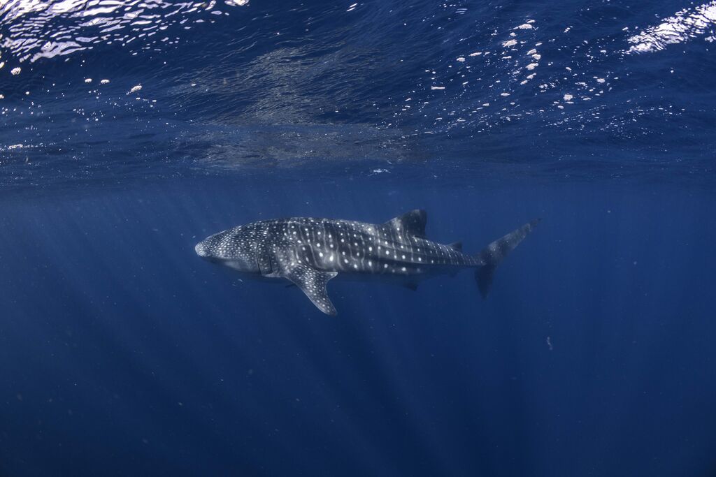 3d5eaff0-7db8-47ae-a7f7-06e01ce1b9c9