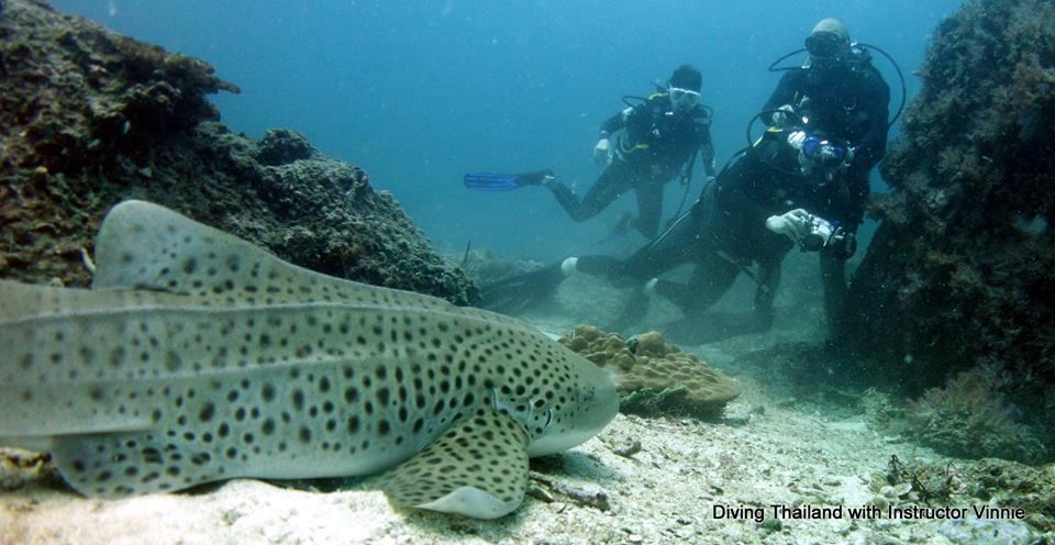 530b8736-ba01-409f-9818-23d3cb2287c1