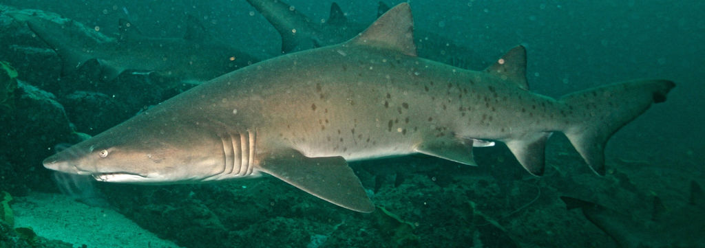 036d0d1a-b920-4395-821b-de4662407f64