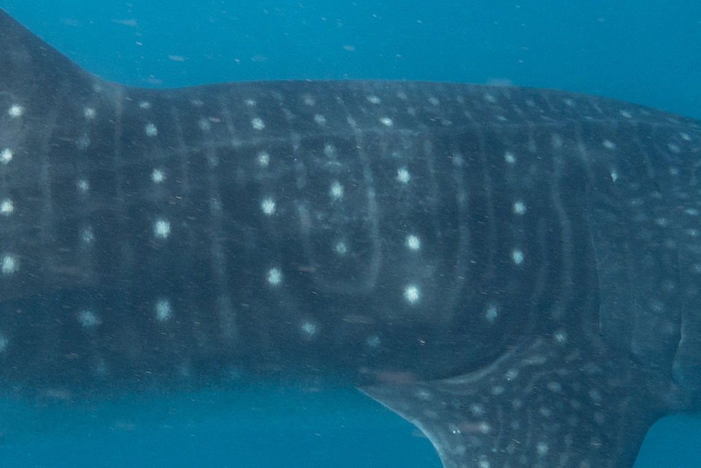 ebe06192-3360-4ca0-a5bd-3f9ac6b3f696