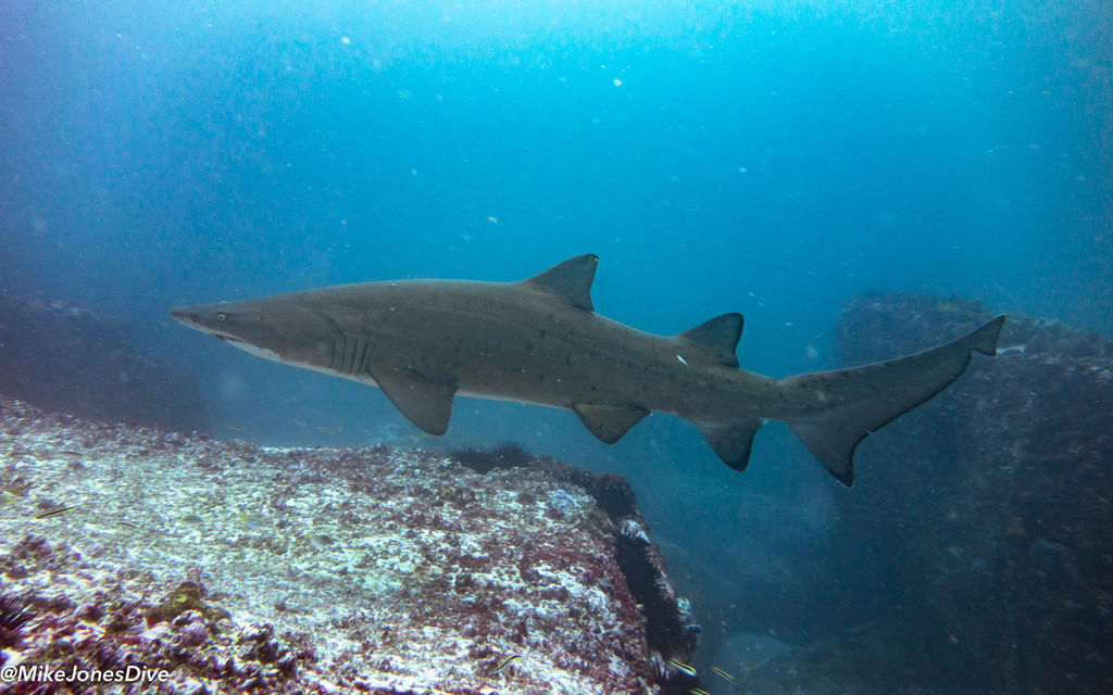 4b1906bc-2684-4c57-b3b5-e54313ae39fc