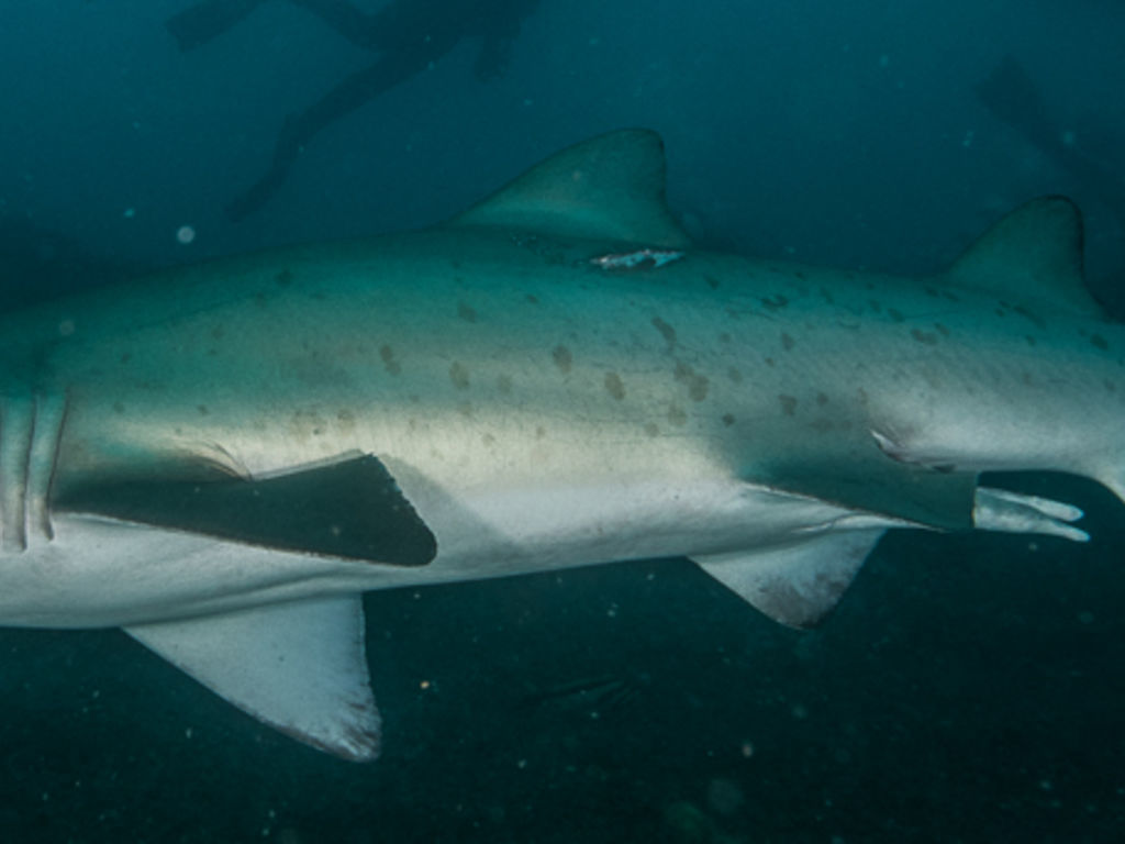 b1669ae8-b876-4939-9864-d9202801e8ed