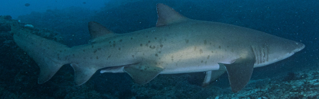 f859cab5-bc53-456a-8758-06ca4db0d885