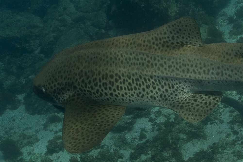 14dddda1-c4c9-4ceb-99c2-0d6f5629934e