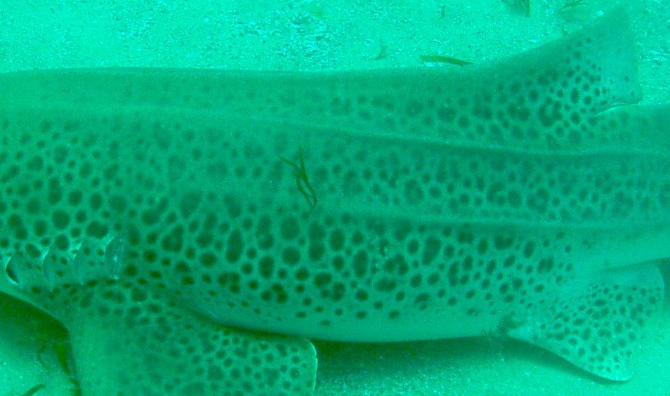 56300723-8867-4d5d-b8f8-b184d2c11565