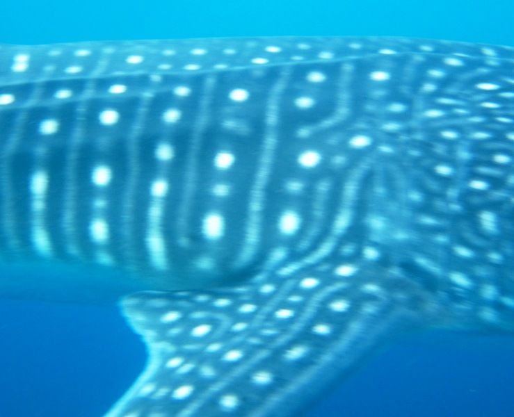 fbe2ebcd-5143-4f42-a698-826ae501804a