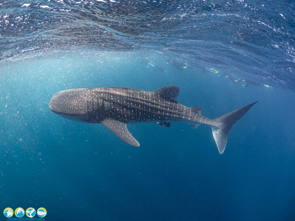 2f558cb7-62f8-4b3c-ab64-e1d8a6dc7268