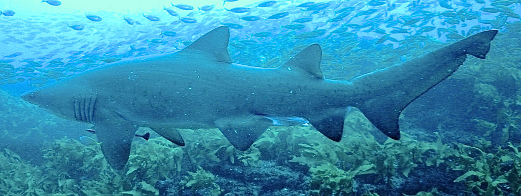 5bd70b25-9df8-46ca-a63b-bf51ce5905e2