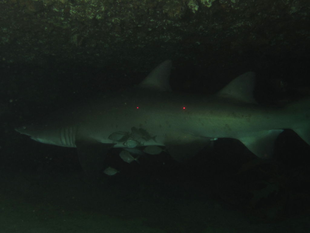 4fa2b1a7-1deb-4d03-a342-926ea8b99017