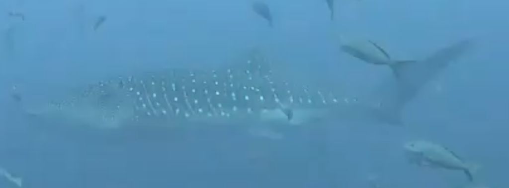 77ce83eb-c8e6-4aaf-8d6a-a5c9da691ebb