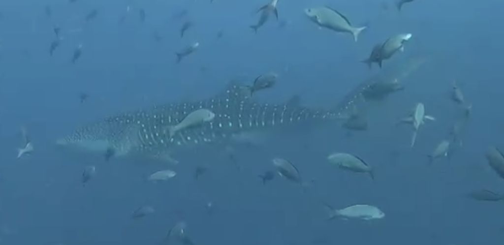 77ce83eb-c8e6-4aaf-8d6a-a5c9da691ebb