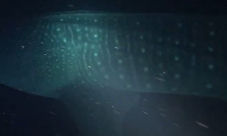 c7fe5ebc-31ac-46ea-9a83-193ba1bca6ba