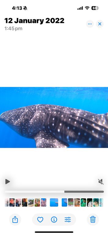 68b4d792-1b1d-4de5-93fa-e5459b1531ef