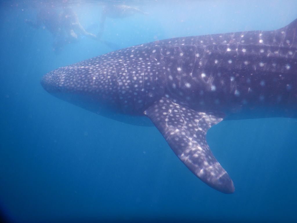 f38dcada-22b7-4af5-a611-1d94f64a6d61