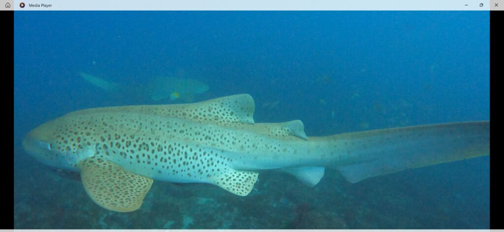 3c8564c5-ab9c-4b06-926f-c6a1b0e673e5