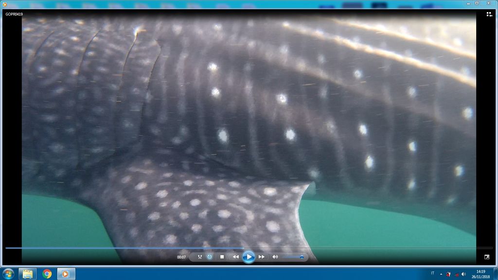 badaf581-6334-41a1-bb26-2fbe54ad65af