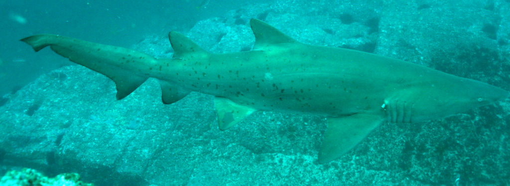 d764c215-bd09-4dae-8cf9-db4eca7f5289