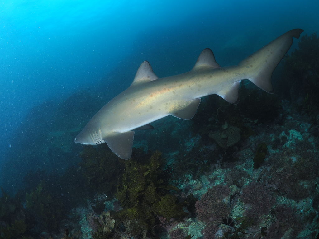 b76134eb-cd40-4150-b601-9d9a5445a540