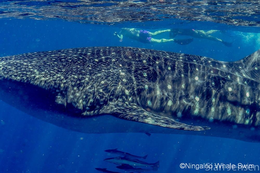 711cdc6a-c40e-4569-840e-3204c6eaff9a