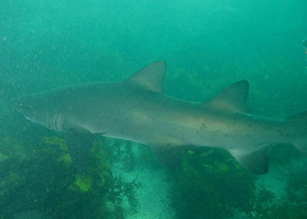 20c771ba-6ae4-41b0-a745-3d98d5e3be37