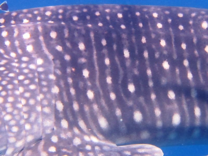 cfad22ac-7605-4511-94e6-b91f761242a2