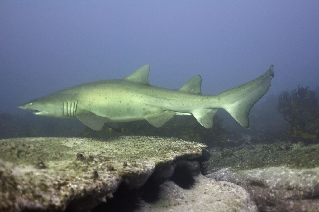 94ee96bb-cfaf-441f-b9a4-bd4836c28f25