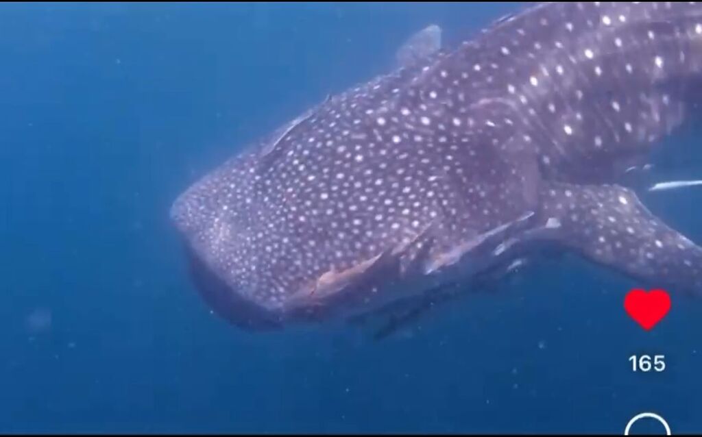 16ce2620-78c1-4d8f-939b-d6b62e3f8f67