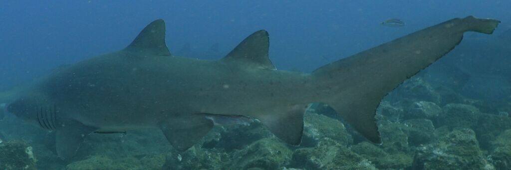 e082b8f3-2b54-497a-aaf9-874f0c4956e7