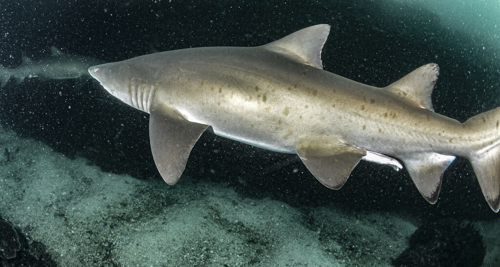 52fe86d9-db8b-45f7-a12d-b1f76f6acf55