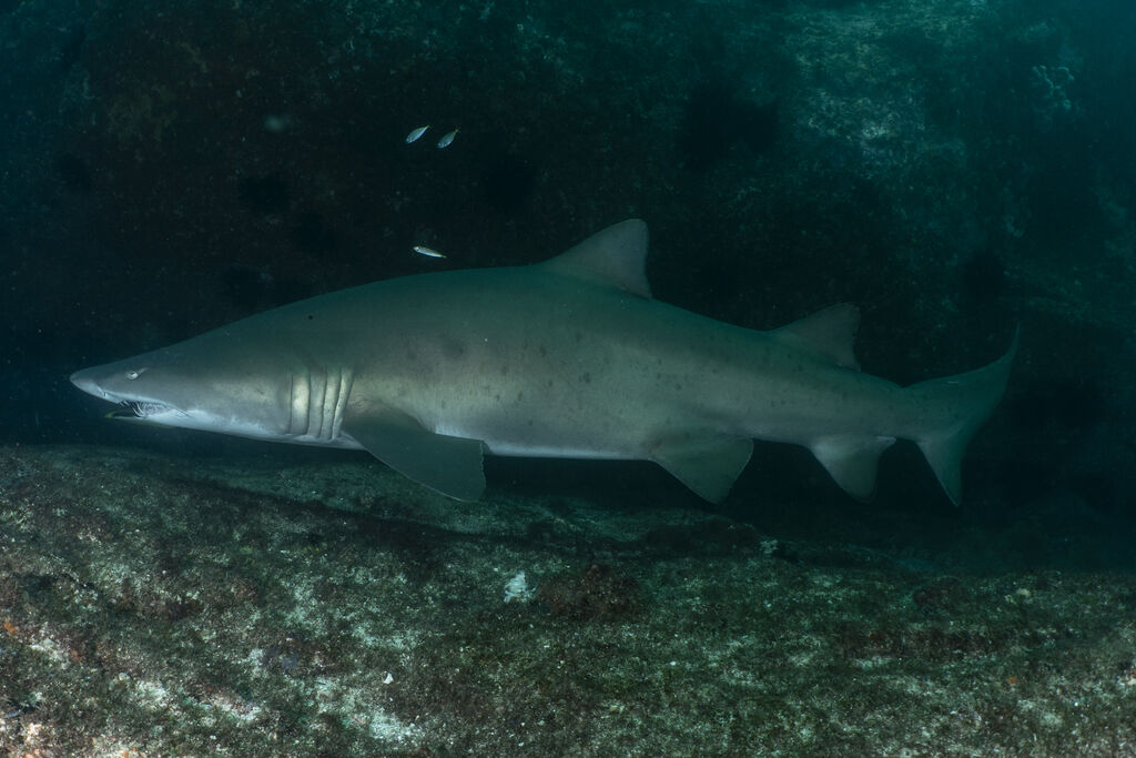 7f4221a9-24ae-4e31-8edd-7fef6e49efb6