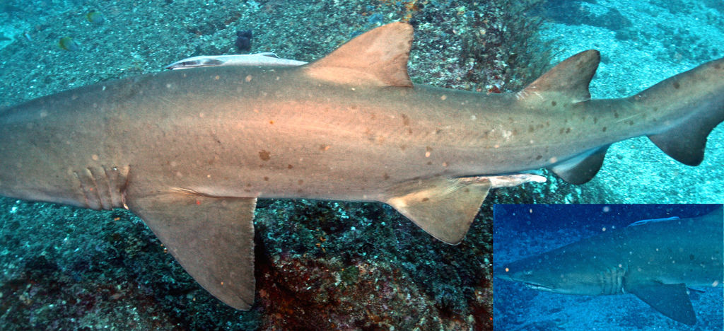 da648939-51dc-48b1-990d-a309cc5c0cc2