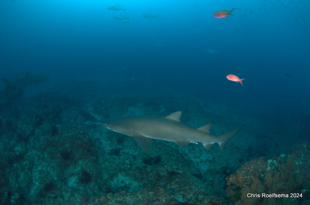 f8542fd6-0fad-4283-8026-9b49f24b2ddb