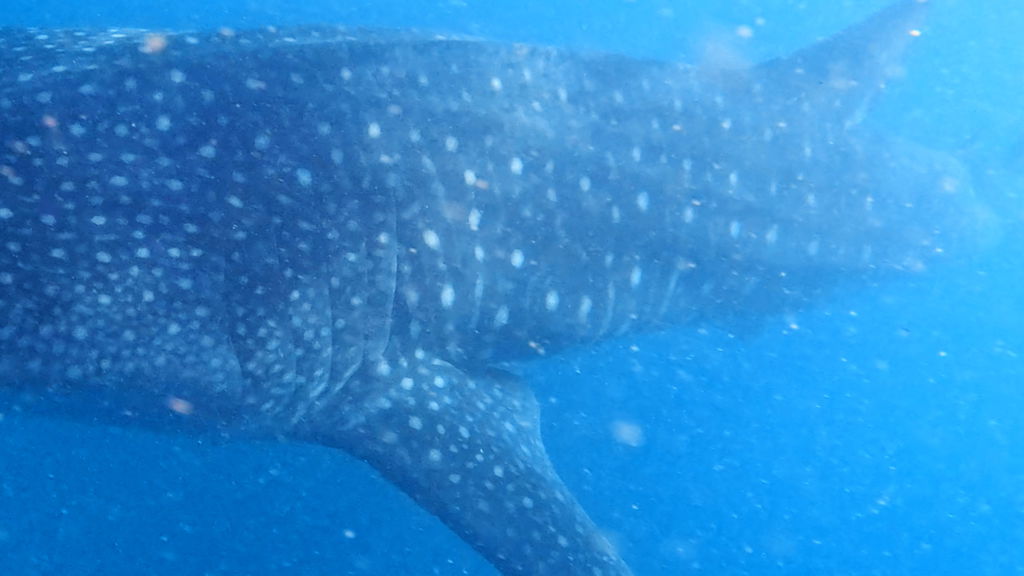 4ab9ea3f-8bad-451a-996e-5ce19791c518