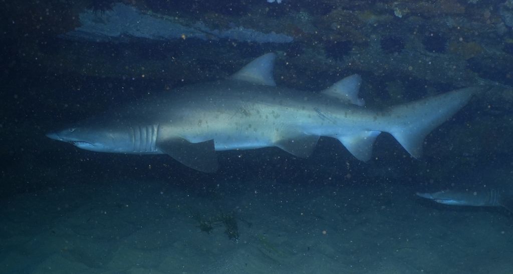 166db56b-60a4-4500-b193-f9b869baa3eb