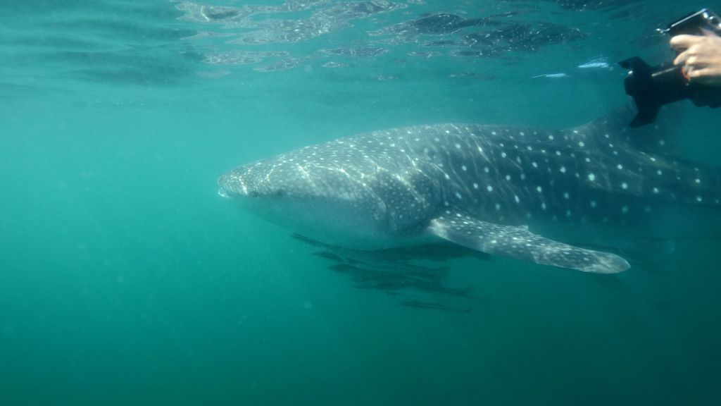 1195607a-7321-4768-a325-de5f413e3f0a