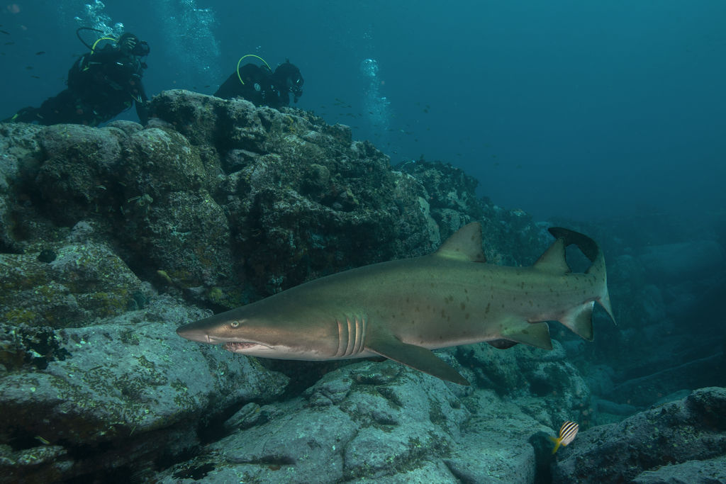 ecf537e7-959d-4136-bd07-1ba21cca6a49