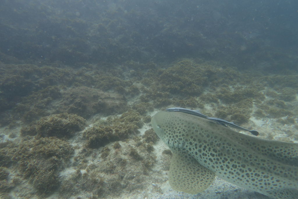 1754792e-bf01-4003-8da0-82b977e87edb