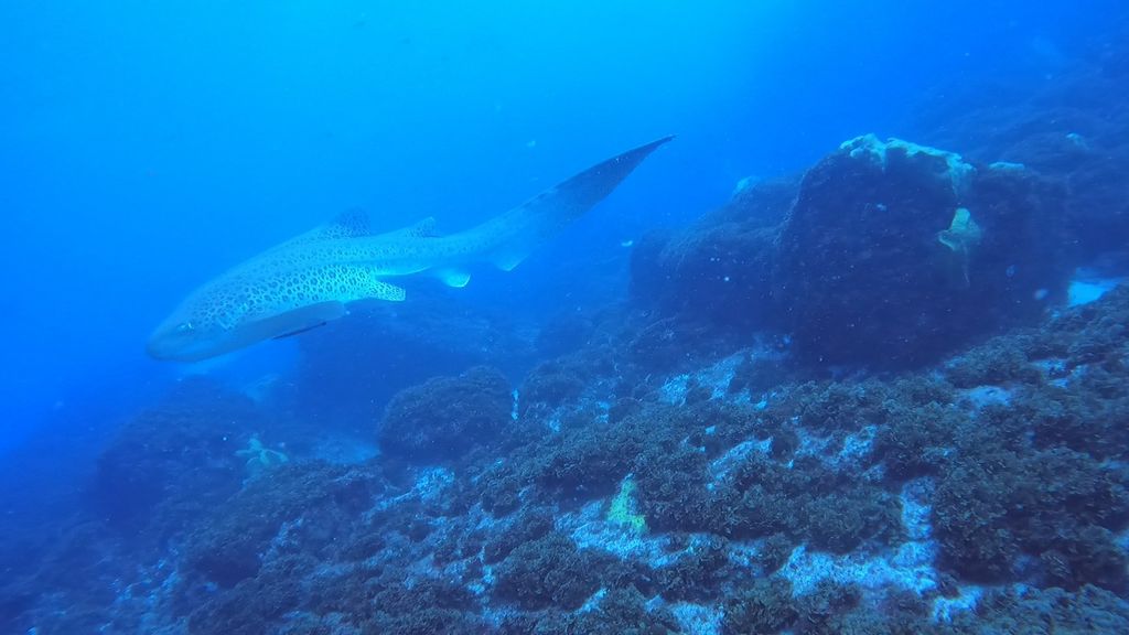 4a01f326-408e-4f97-9c90-d78b657a804a