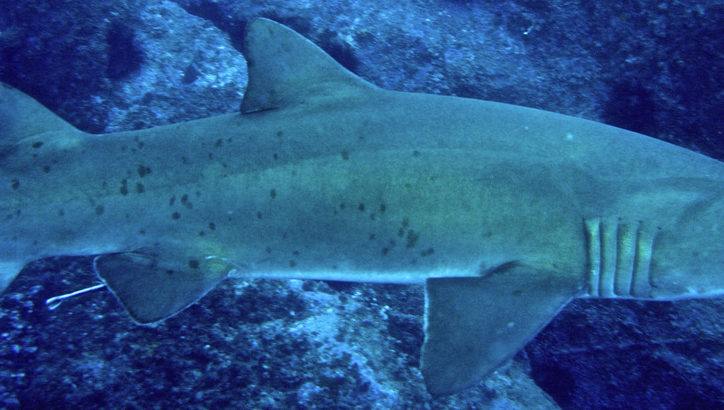 97e088d6-52d8-43a2-bb12-e136e034a29d