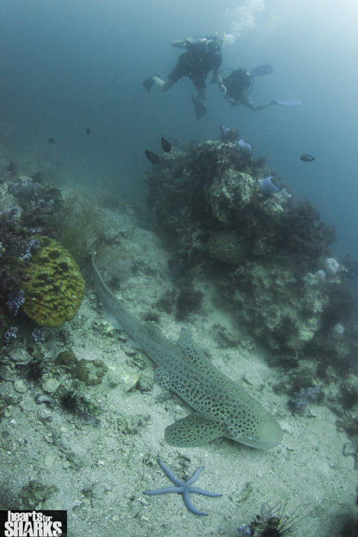 083f1a98-b58b-4d0c-86c1-026fb9c6711a