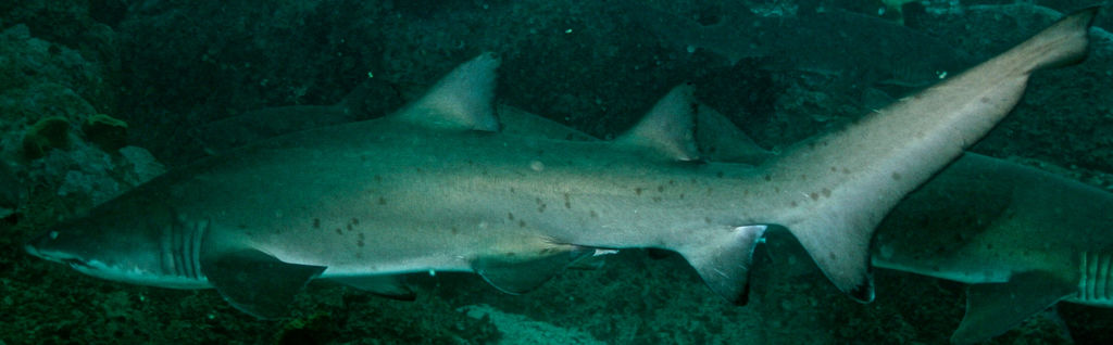 9a3b0cd8-477b-488e-990b-0c62a24083d9