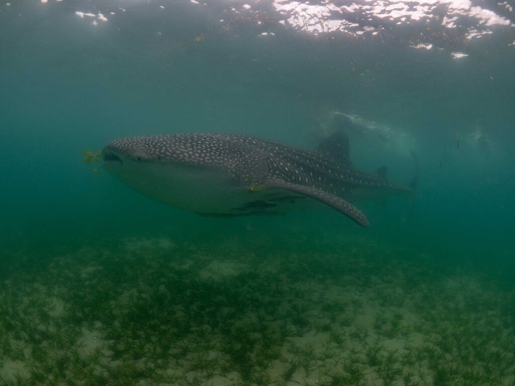 996b9b12-b82a-432c-ab23-5bd51b59f705