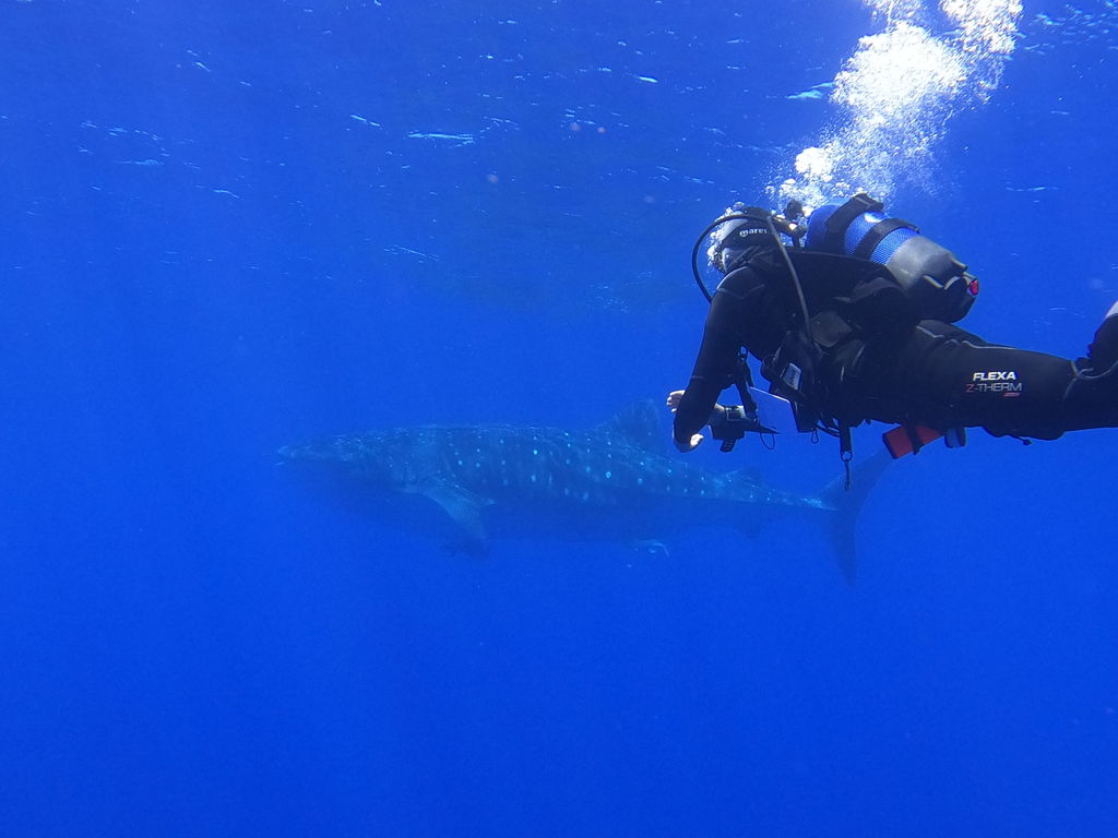 26b65782-0199-4f5b-8d86-42eb87e4621e