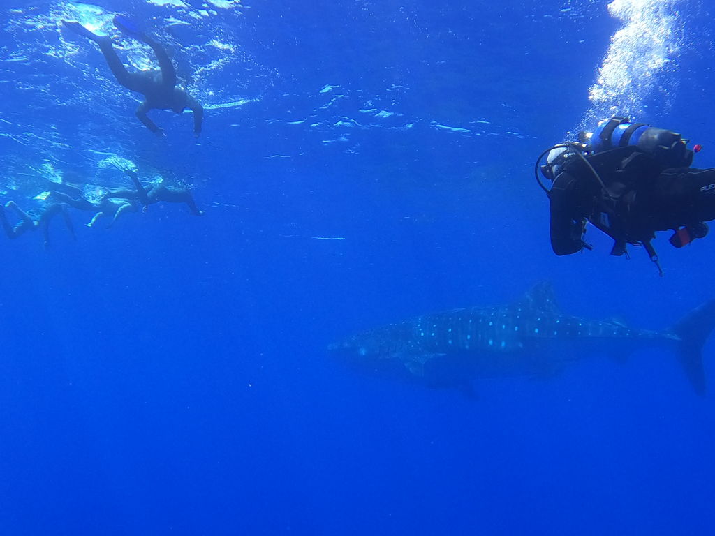 26b65782-0199-4f5b-8d86-42eb87e4621e